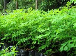 13528008441345178600 756103