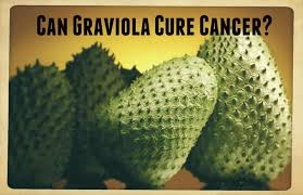 1372829588soursop fruit