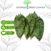 LÁ MÃNG CẦU KHÔ <BR> <font color="red"> DRY SOURSOP LEAVES </font> 2 mcx
