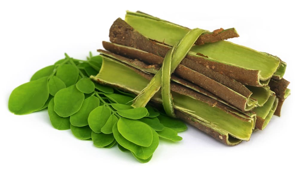 CÂY CHÙM NGÂY - MORINGA 2 MORI LA