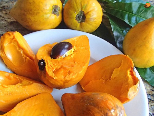 loi ich cua qua trung ga 3