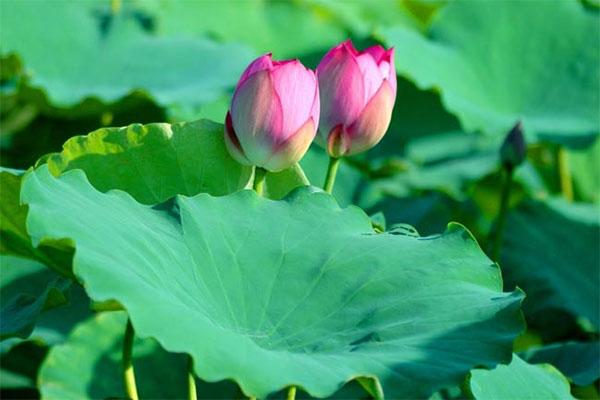 photo 1627979028382 16279790300781771671542