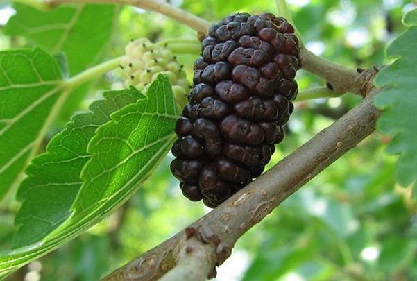 photo 1651800499008 16518005005191416624037